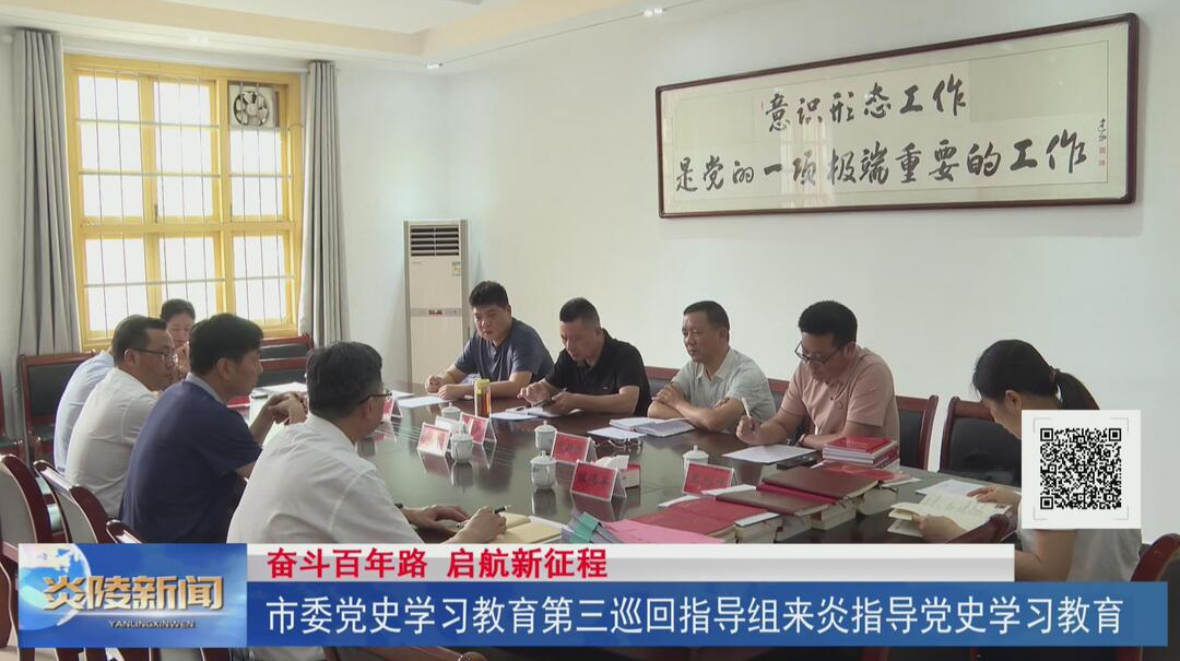 市委党史学习教育第三巡回指导组来炎指导党史学习教育【视频】