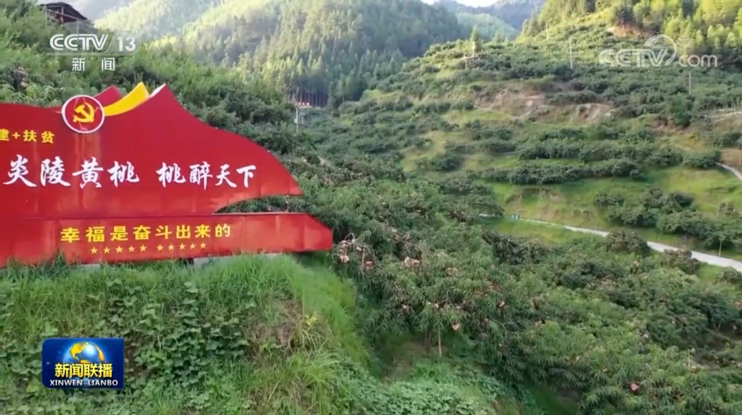 央视《新闻联播》又赞炎陵——莆炎高速：坚持绿色理念 见证发展变迁