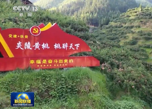 CCTV1、CCTV13连续两天为炎陵黄桃、美景打call！