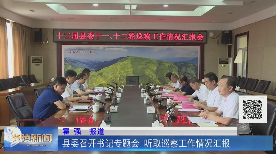 县委召开书记专题会听取巡察工作情况汇报【视频】