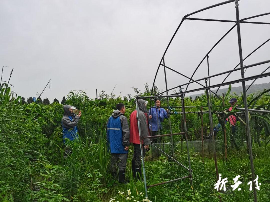 学史力行 为民办实事