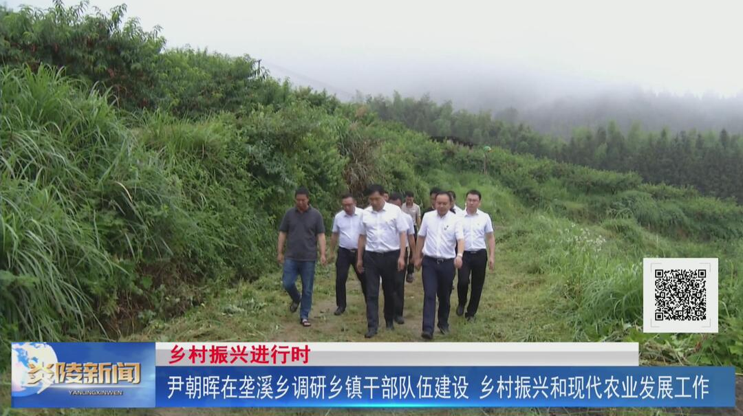 尹朝晖在垄溪乡调研乡镇干部队伍建设、乡村振兴和现代农业发展工作【视频】