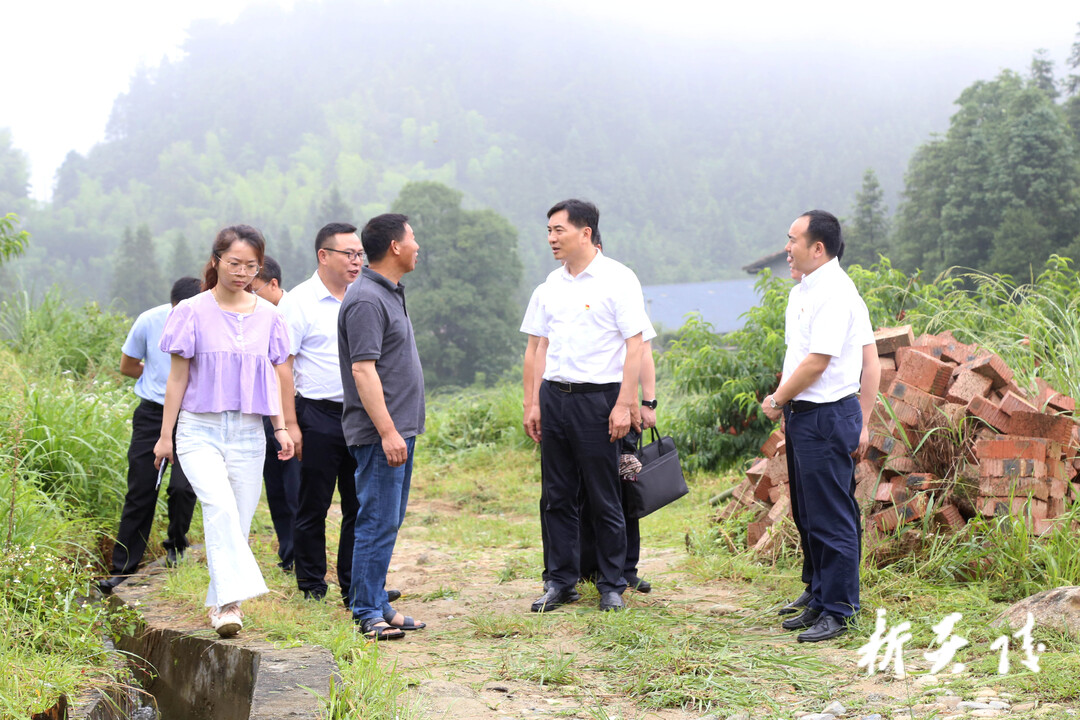 尹朝晖在垄溪乡调研乡镇干部队伍建设、乡村振兴和现代农业发展工作