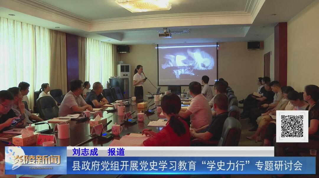 县政府党组开展党史学习教育“学史力行”专题研讨会【视频】