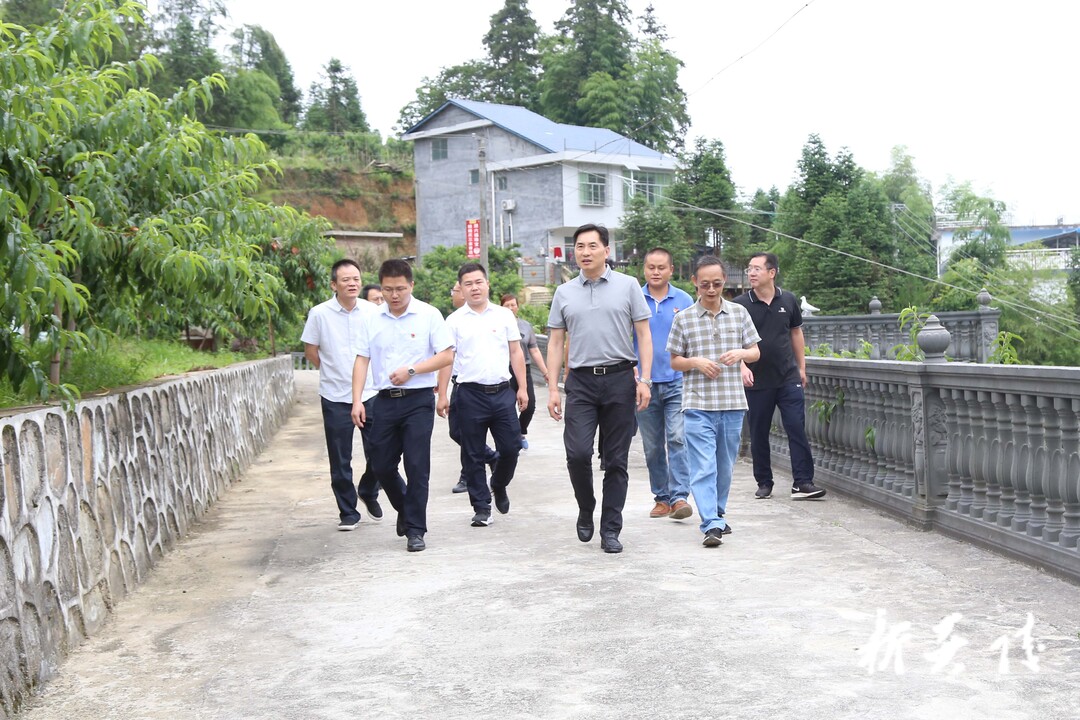 尹朝晖在下村乡调研乡村振兴、现代农业发展和湘赣边区域合作示范区建设等工作