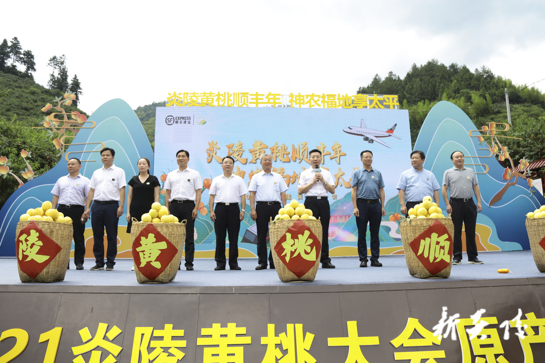 快讯丨2021炎陵黄桃大会成功举办 现场签约700万公斤订单