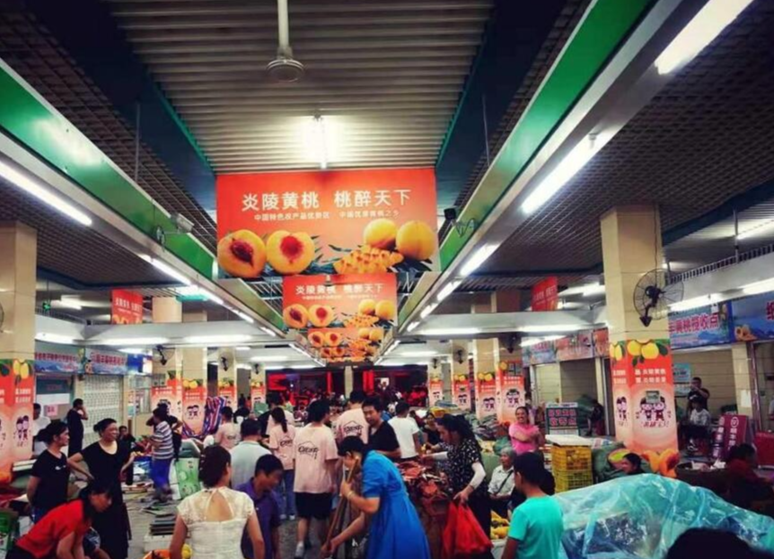 灣區食客中意炎陵黃桃
