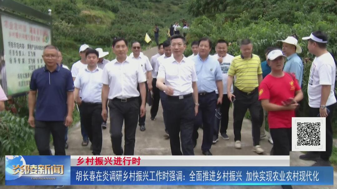 胡长春在炎调研乡村振兴工作时强调：全面推进乡村振兴 加快实现农业农村现代化【视频】