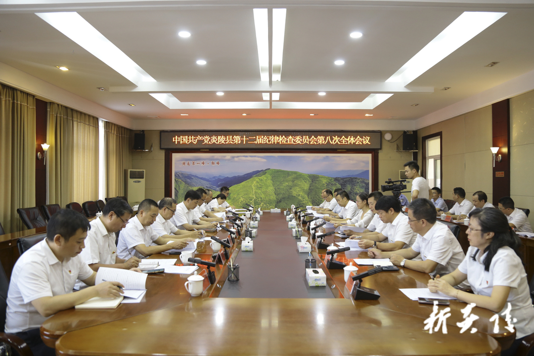 快讯丨中共炎陵县十二届纪委召开第八次全体会议  尹朝晖出席并讲话