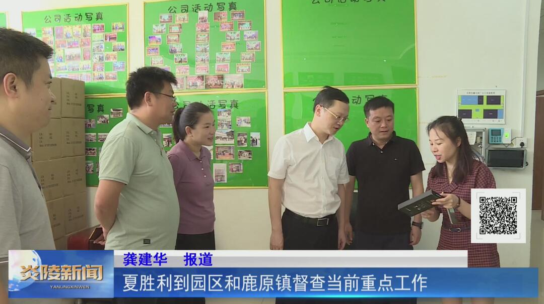 夏胜利到园区和鹿原镇督查当前重点工作【视频】