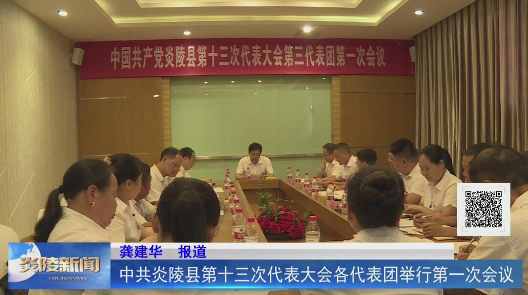 中共炎陵县第十三次代表大会各代表团举行第一次会议【视频】