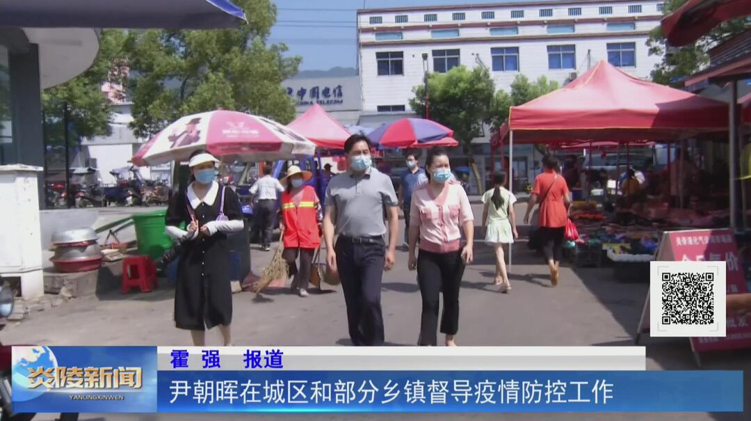 尹朝晖在城区和部分乡镇督导疫情防控工作【视频】