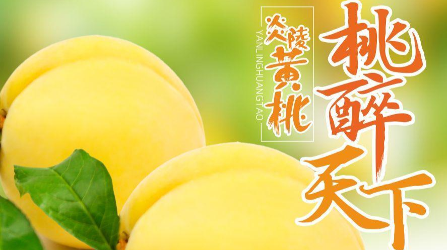 炎陵黄桃购销环节防疫安全保障指南