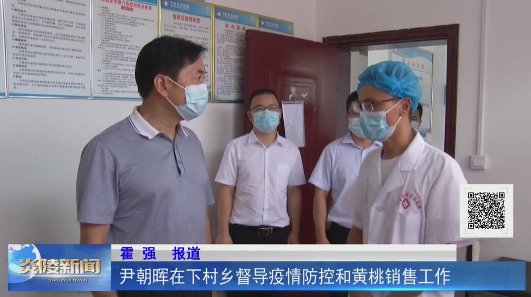 尹朝晖在下村乡督导疫情防控和黄桃销售工作【视频】