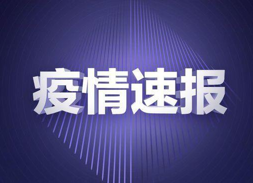 株洲市8月10日0-24时新型冠状病毒肺炎疫情信息发布