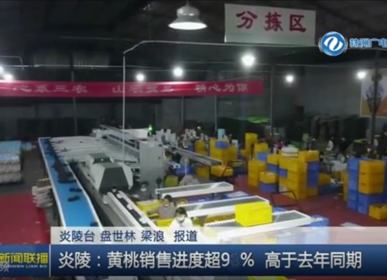 株洲炎陵：黄桃销售进度超98% 高于去年同期