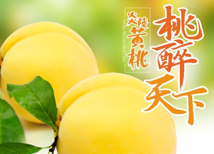 关于2021年炎陵黄桃产地停止销售的公告