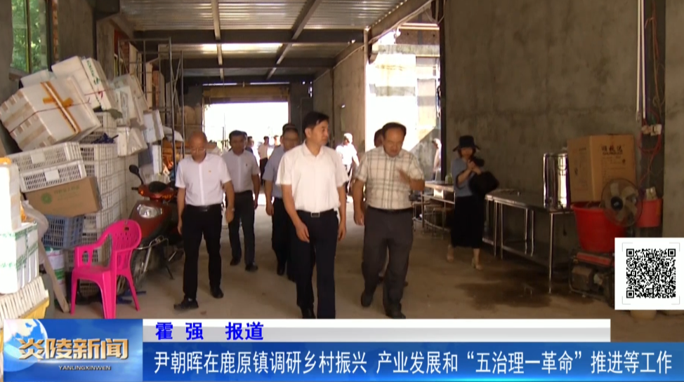 尹朝晖在鹿原镇调研乡村振兴、产业发展和“五治理一革命”推进等工作