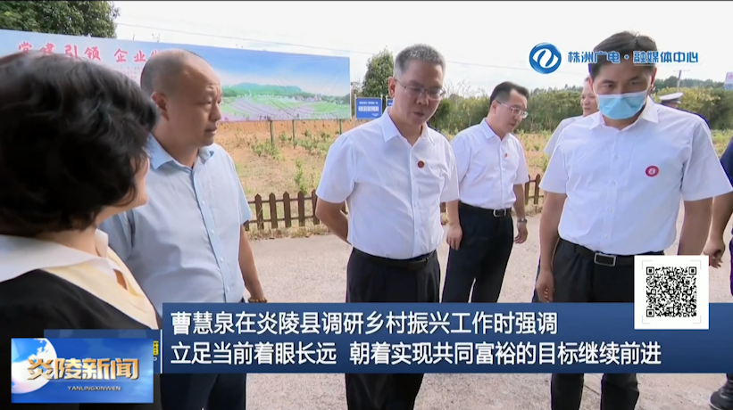 曹慧泉在炎陵县调研乡村振兴工作时强调：立足当前着眼长远 朝着实现共同富裕的目标继续前进