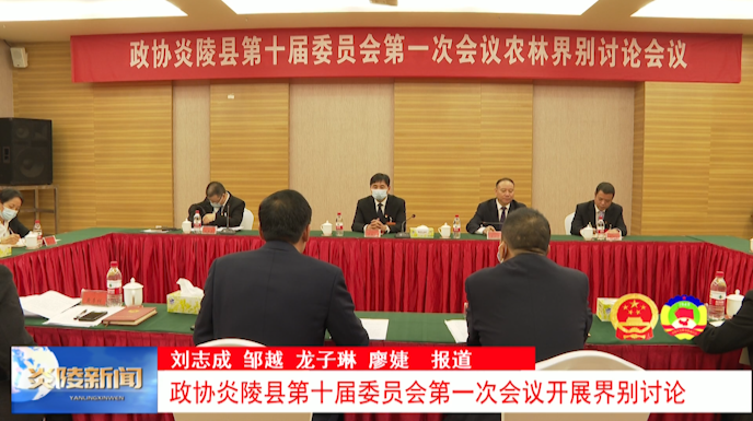 政协炎陵县第十届委员会第一次会议开展界别讨论
