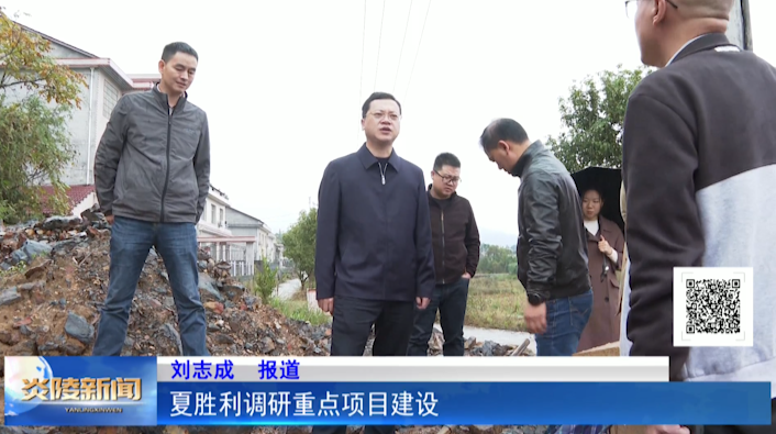 夏胜利调研重点项目建设