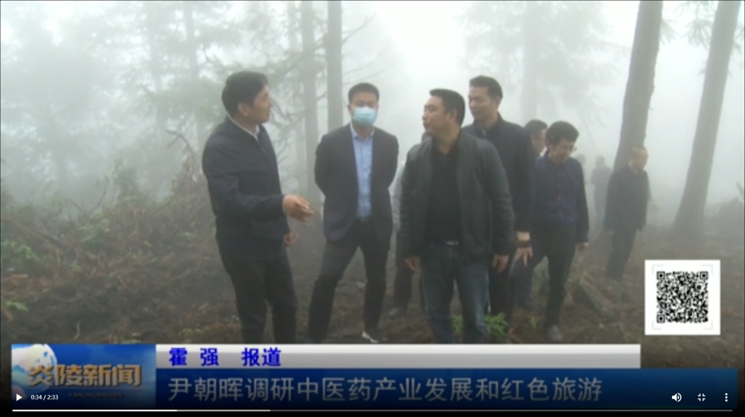 尹朝晖调研中医药产业发展和红色旅游