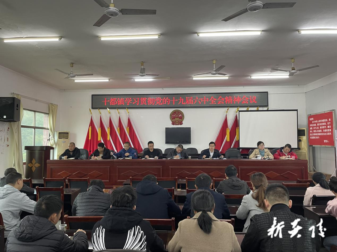 炎陵县乡镇、部门掀起传达学习党的第十九届六中全会精神热潮