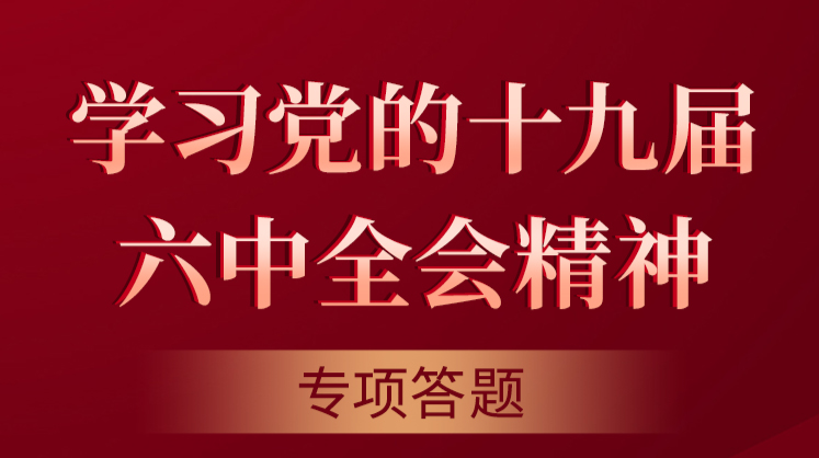 “学习党的十九届六中全会精神”专项答题