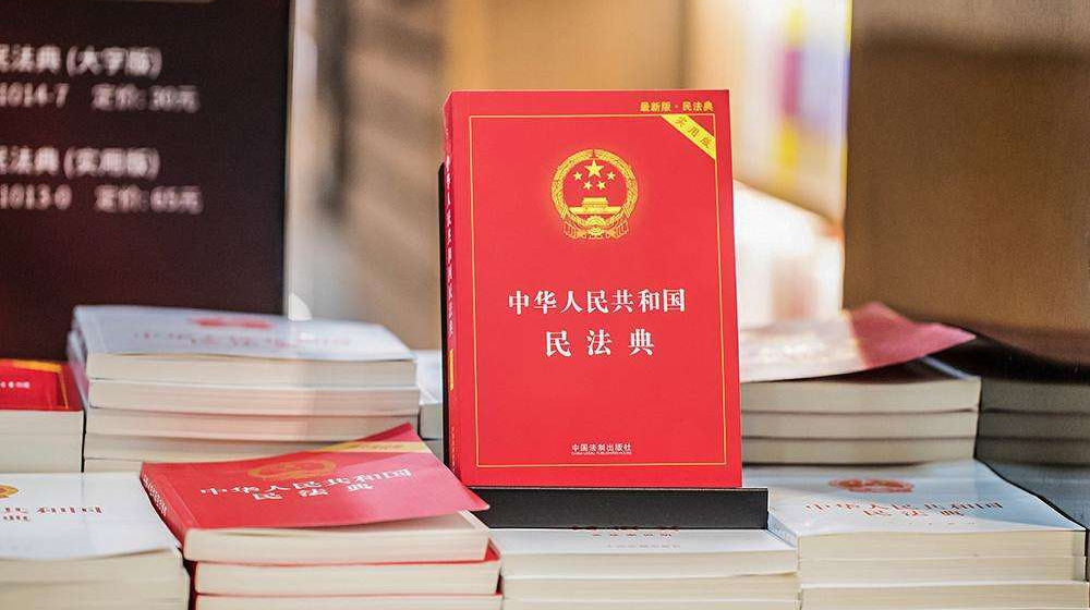 坚持习近平法治思想——论学习贯彻习近平总书记在中央全面依法治国工作会议上重要讲话