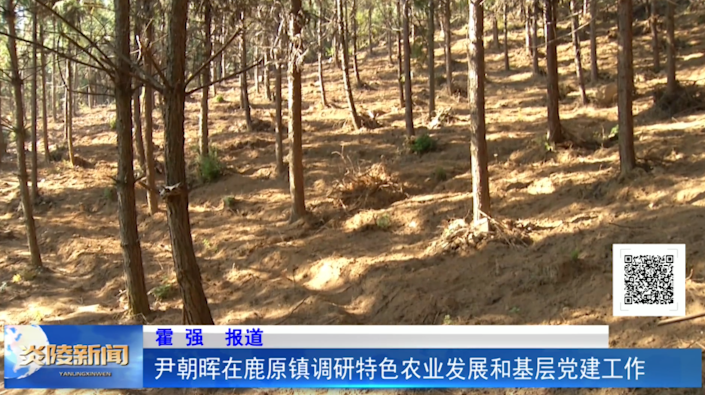 尹朝晖在鹿原镇调研特色农业发展和基层党建工作