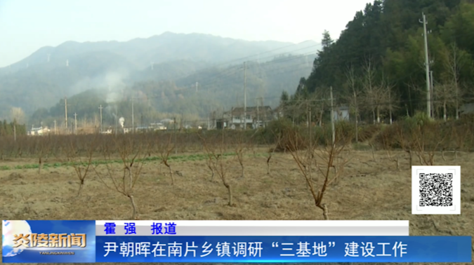 尹朝晖在南片乡镇调研“三基地”建设工作