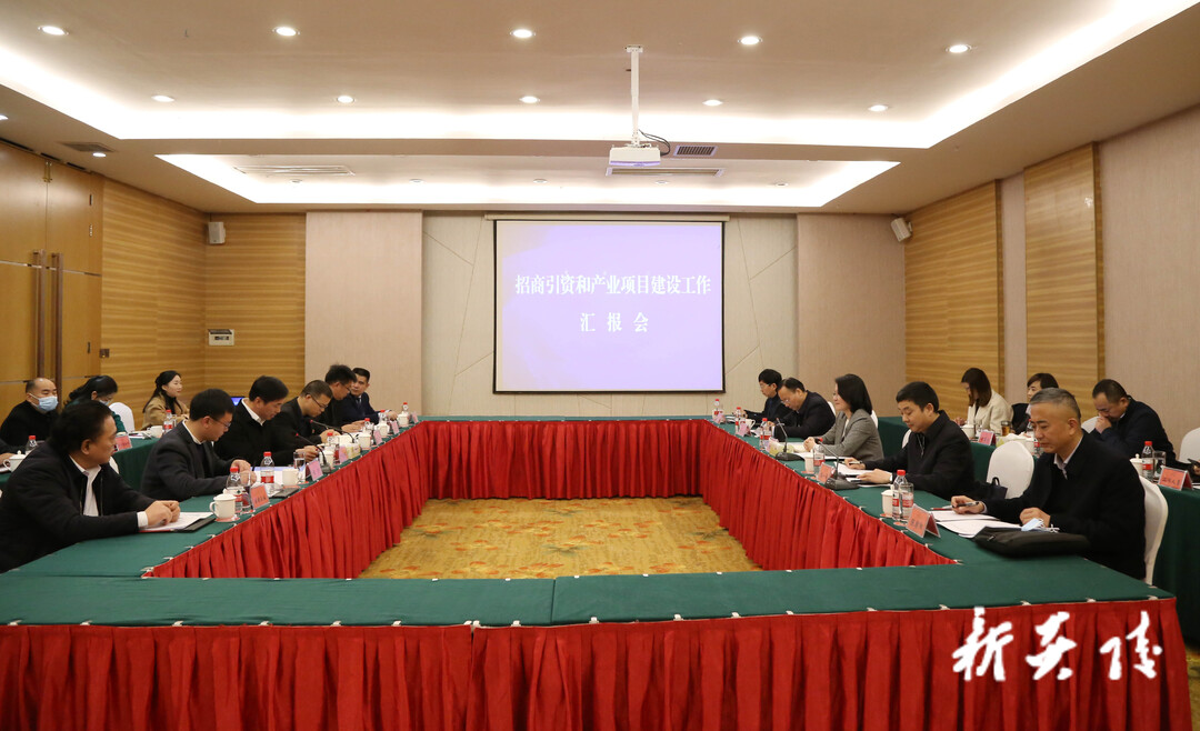 王庭恺来炎调研招商引资和产业项目建设工作
