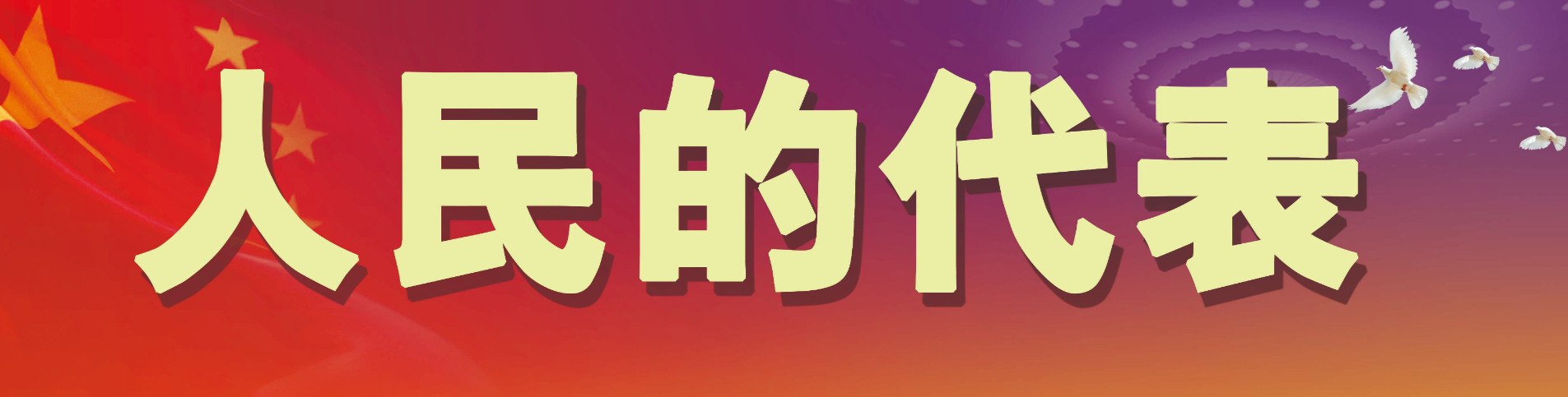 人民的代表