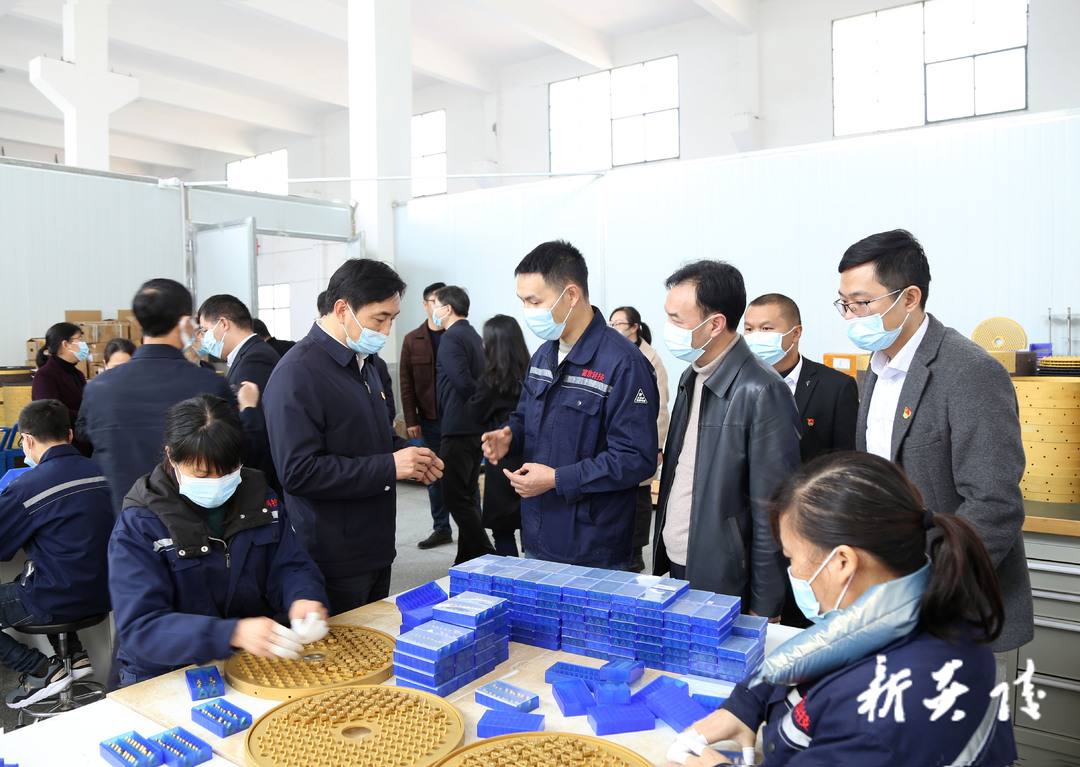 快讯|炎陵县组织市党代表开展集中视察调研活动