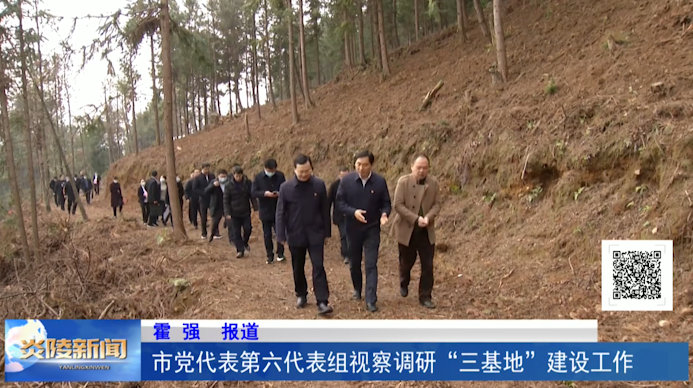 市党代表第六代表组视察调研“三基地”建设工作