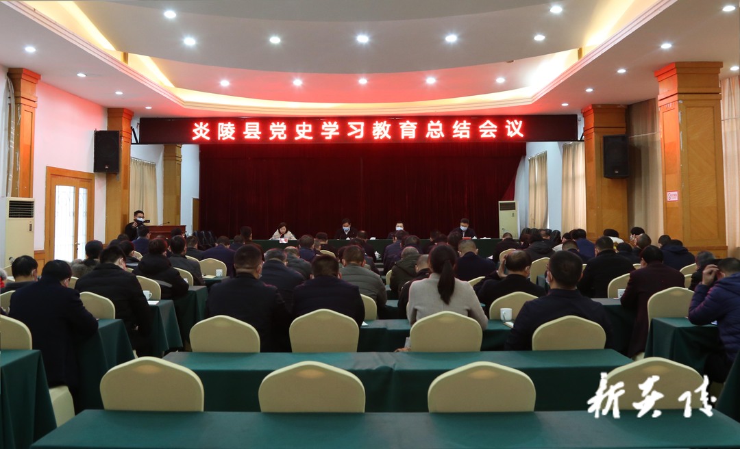 快讯|炎陵县党史学习教育总结会议召开