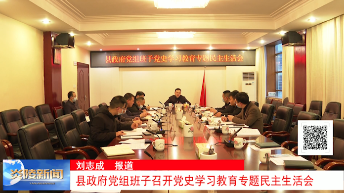 县政府党组班子召开党史学习教育专题民主生活会