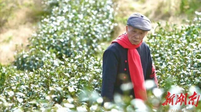 视频|台胞古胜潭在炎陵过年：既温馨又放心!