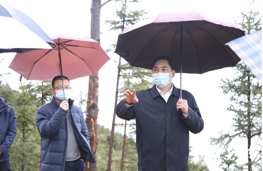 尹朝晖在乡镇和园区调研“三基地”建设