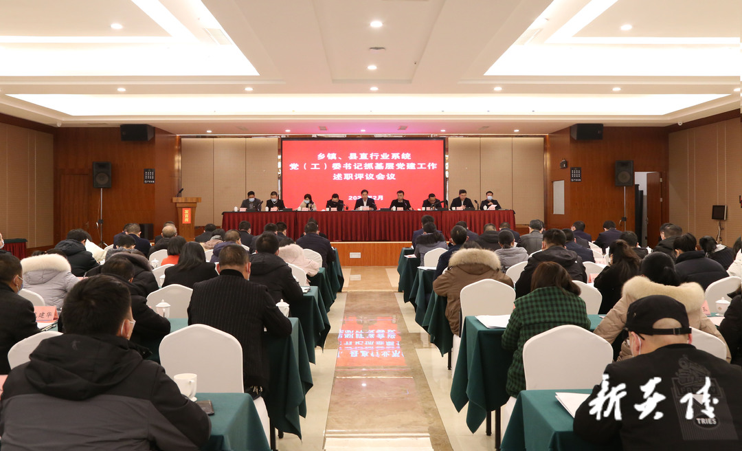 炎陵县召开2021年度乡镇、县直行业系统党（工）委书记抓基层党建工作述职评议会议
