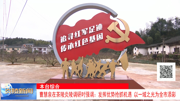 ​曹慧泉在茶陵炎陵调研时强调：发挥优势抢抓机遇 以一域之光为全市添彩