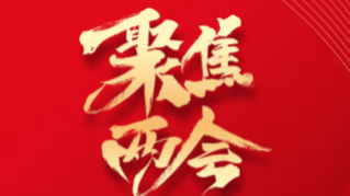 2021人大工作先进单位沔渡镇人大主席团