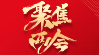 2021人大工作先进单位鹿原镇人大主席团