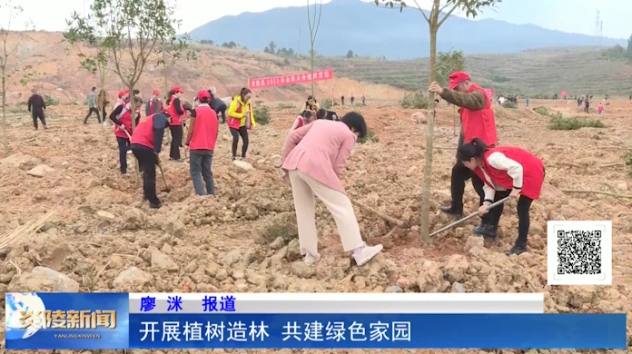 开展植树造林 共建绿色家园