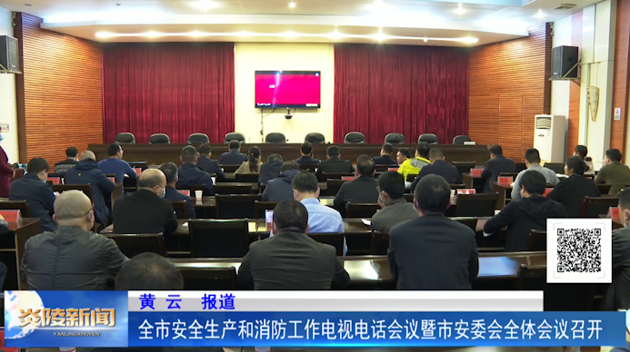 全市安全生产和消防工作电视电话会议暨市安委会全体会议召开