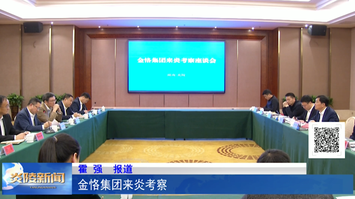 金恪集团来炎考察