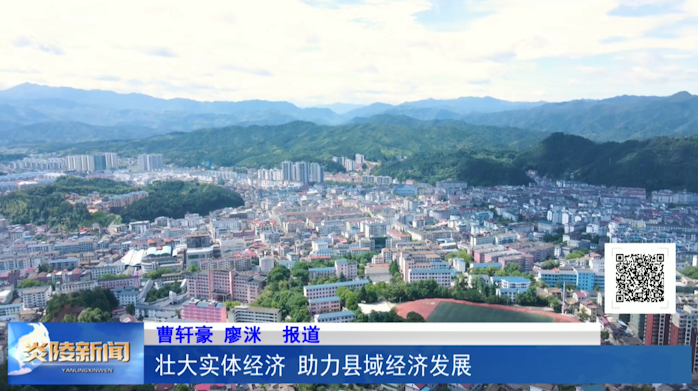 壮大实体经济 助力县域经济发展