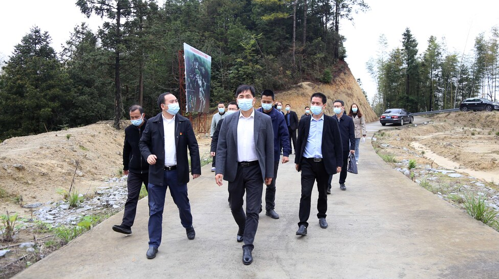 尹朝晖在垄溪等乡镇督导疫情防控并调研“三基地”建设等工作