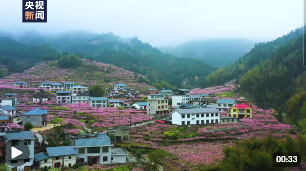 魅力潇湘｜桃花盛开 浓浓春意扑面来