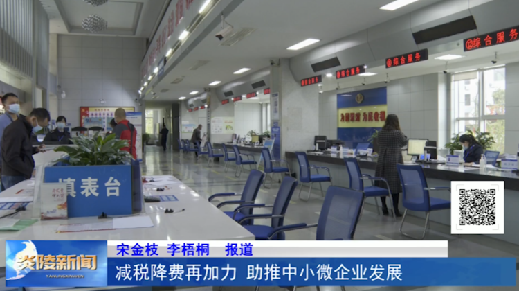 减税降费再加力 助推中小微企业发展